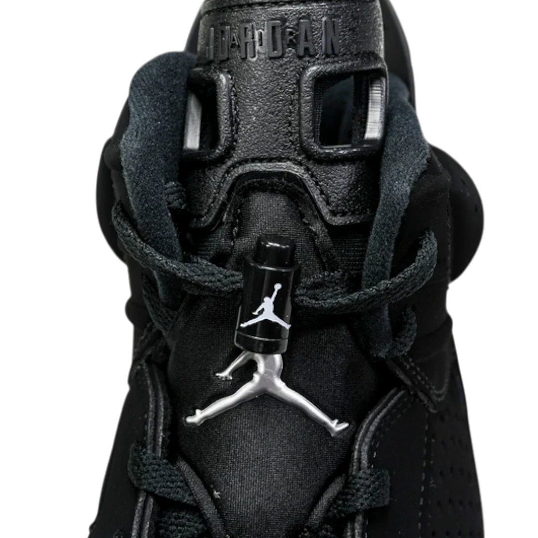 AJ6 Retro 'Chrome'